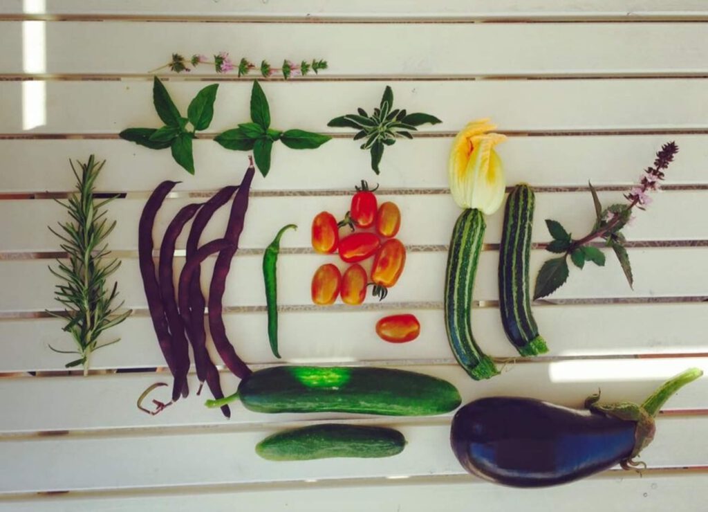 עותק של שפע אסטתי מתי לזרוע ולשתול ירקות קיץ — מדריך לגידול אקולוגי ובר-קיימא