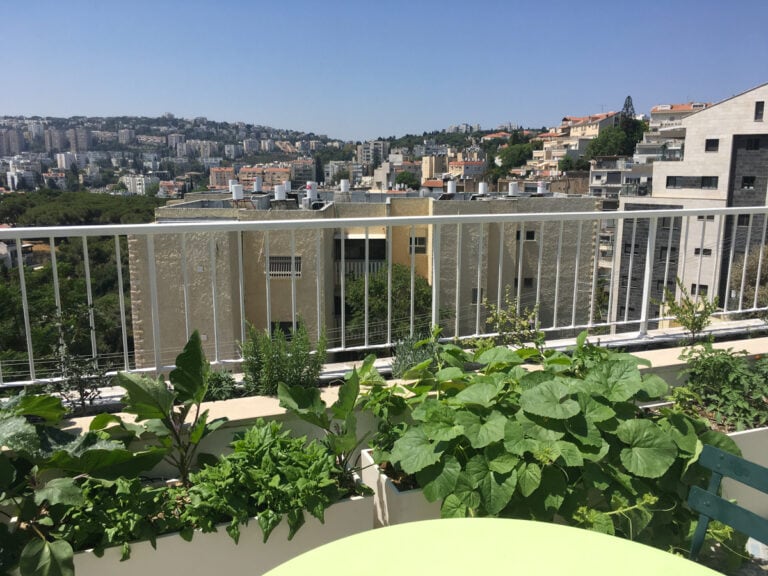 גינה במרפסת קטנה בחיפה 13 חיפה – מרפסת קטנה