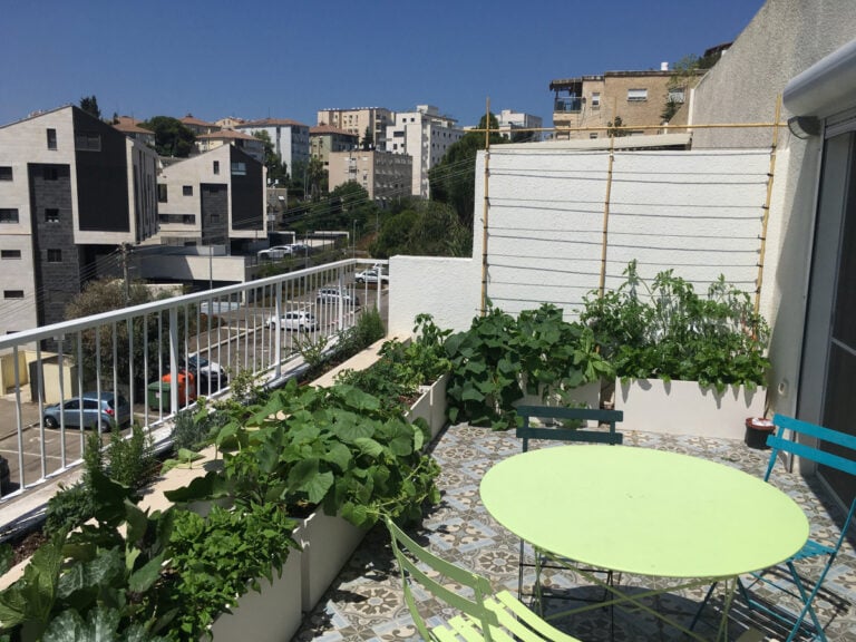 גינה במרפסת קטנה בחיפה 5 חיפה – מרפסת קטנה