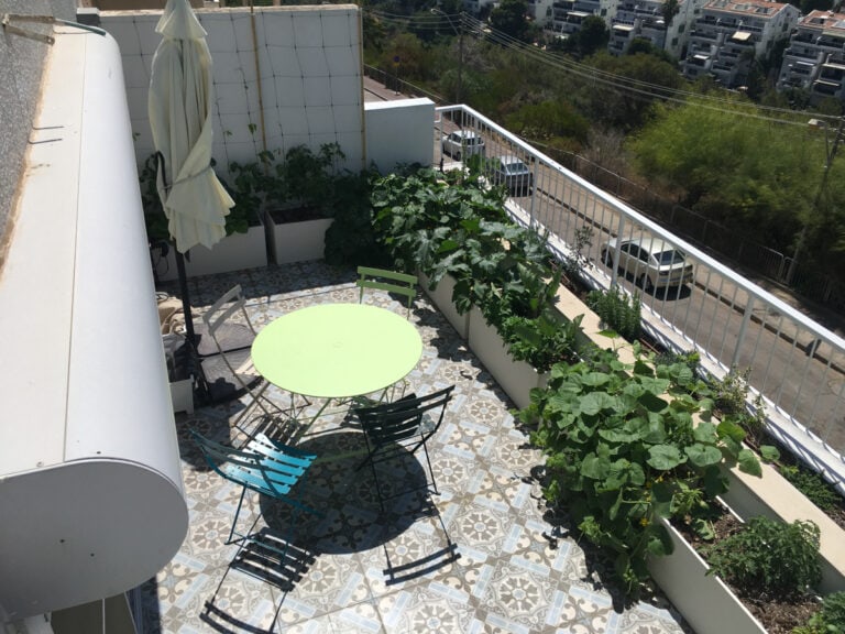 גינה במרפסת קטנה בחיפה 6 חיפה – מרפסת קטנה