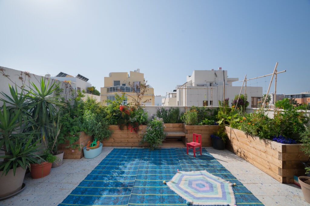 Edible garden on Tel Aviv rooftop