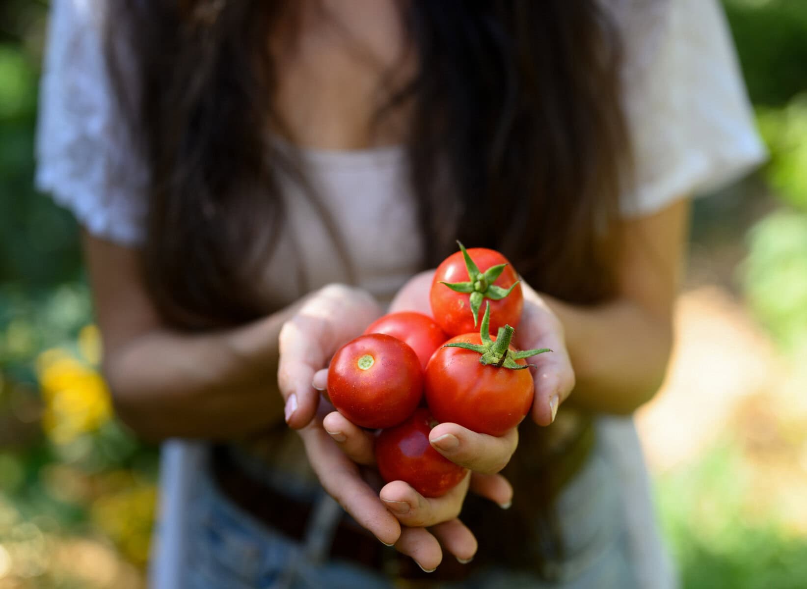 edible home garden