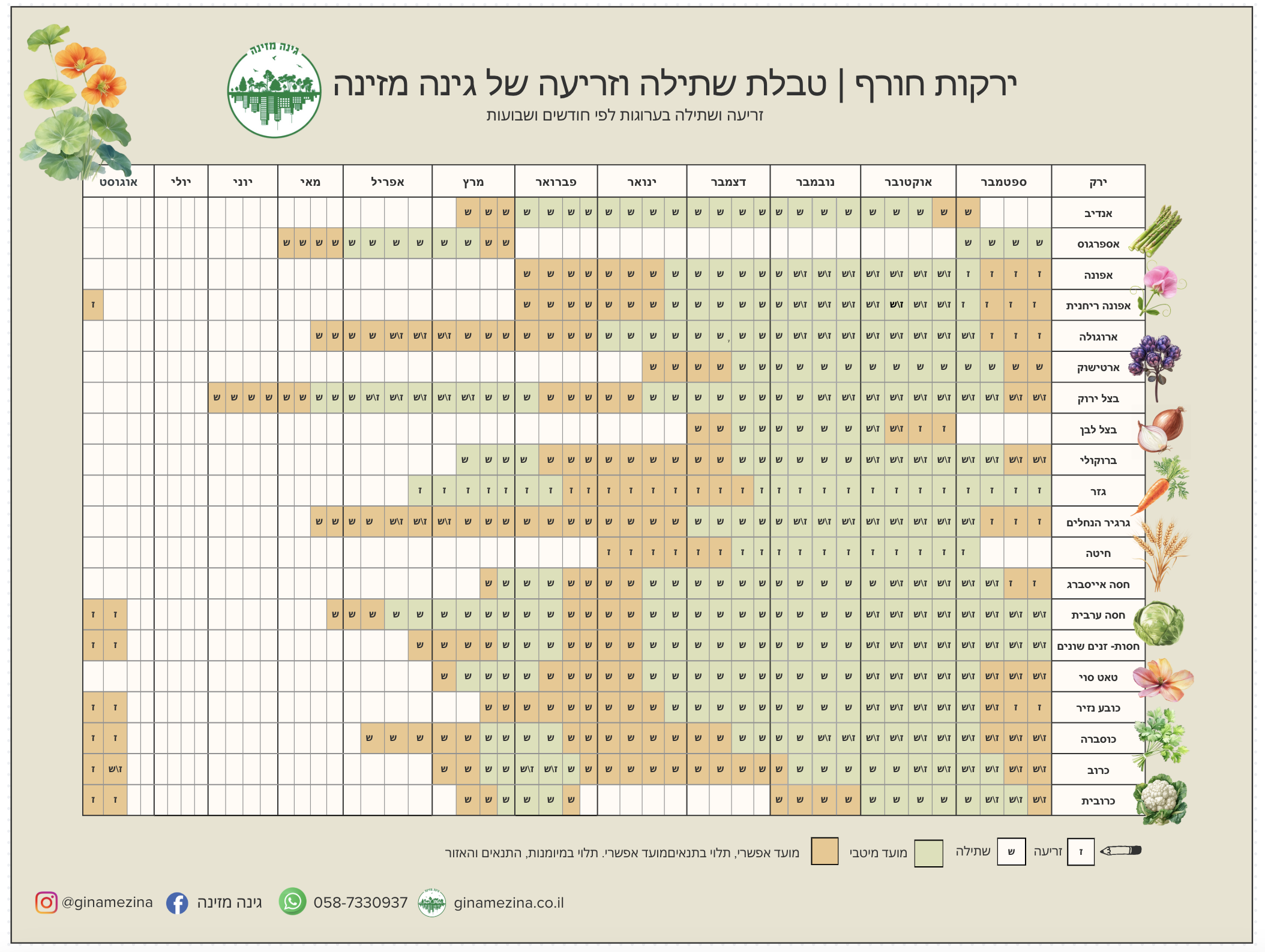 לוח שנה לשתילת ירקות חורף