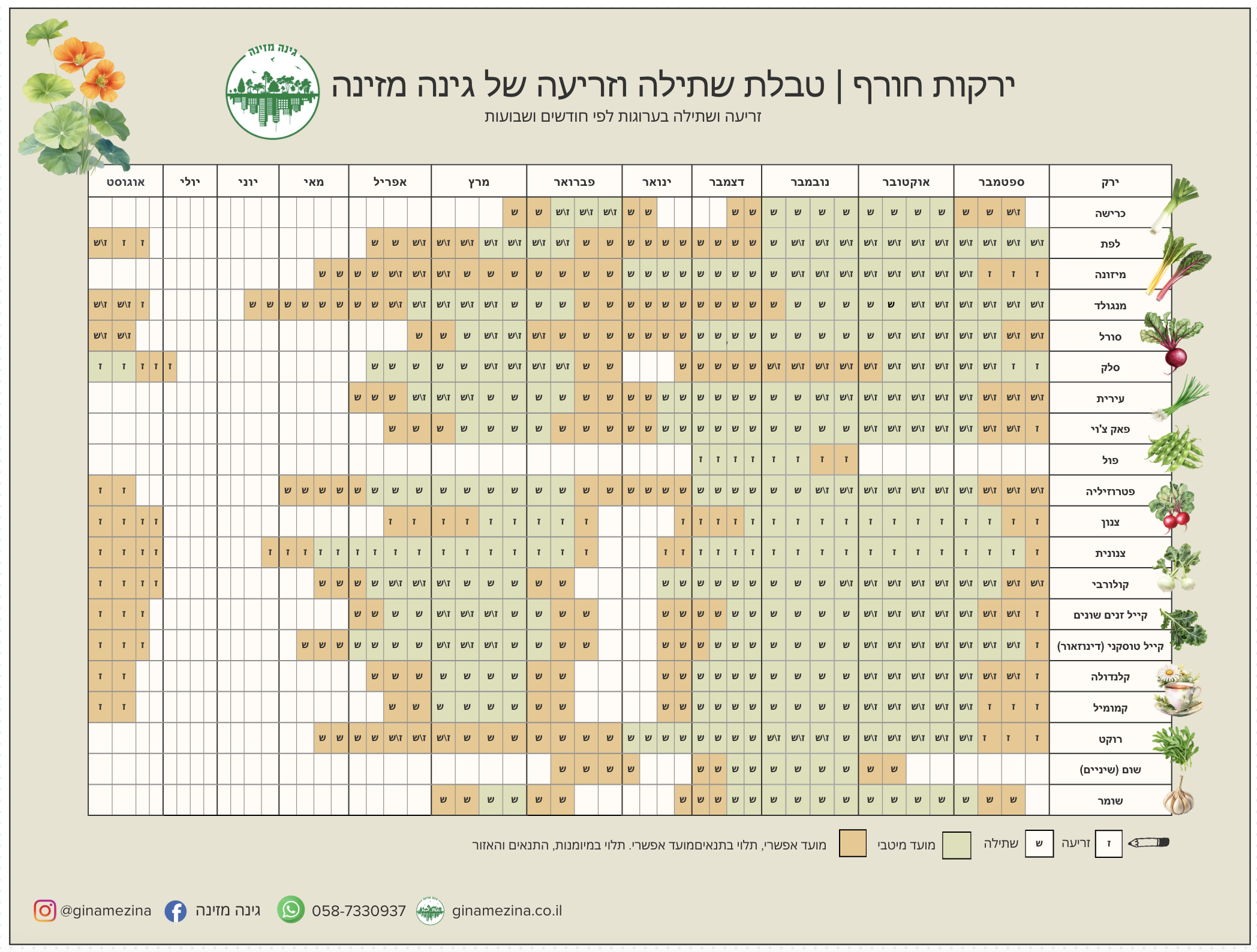 לוח שנה לשתילת ירקות חורף